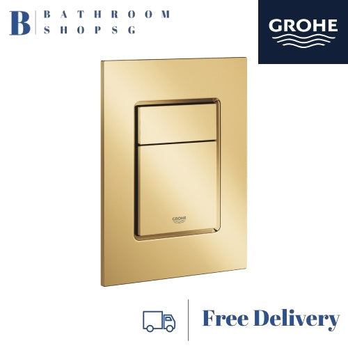 Grohe IGINA Wall hung Shower Toilet Bundle 102915SH00 with Remote Control and Automatic Flush Kit