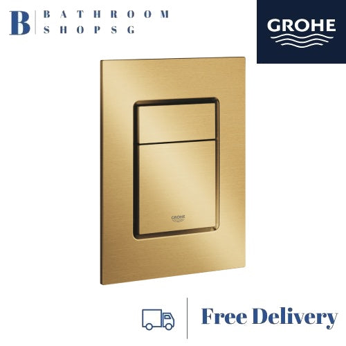 Grohe IGINA Wall hung Shower Toilet Bundle 102915SH00 with Remote Control and Automatic Flush Kit
