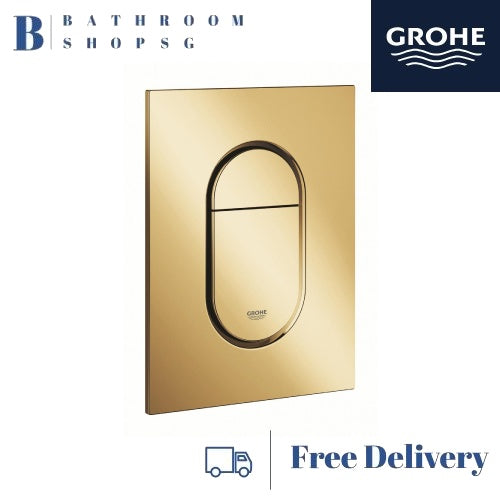 Grohe IGINA Wall hung Shower Toilet Bundle 102915SH00 with Remote Control and Automatic Flush Kit