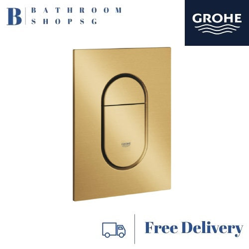 Grohe IGINA Wall hung Shower Toilet Bundle 102915SH00 with Remote Control and Automatic Flush Kit
