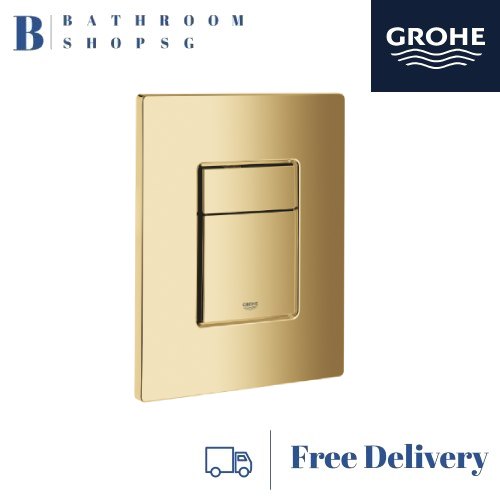 American Standard Signature Wall Hung Toilet CCAS3140 with Grohe Rapid SL Wall Brackets and Grohe Flush Plate Bundle