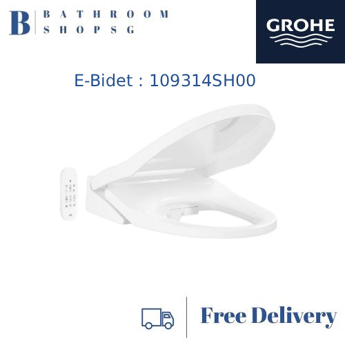 Grohe Euro 2.0 Wall hung Toilet 109315SH00 with Smart E-Bidet 2000R Seat Rapid SLX Wall plate Full Set