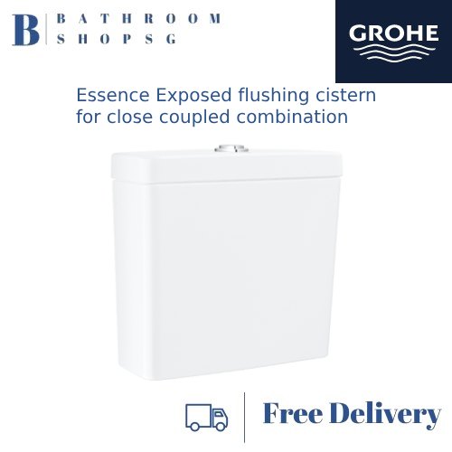 Grohe Essence Floor Standing Toilet Bowl Water Closet Set 3957200H+39579000+39577000