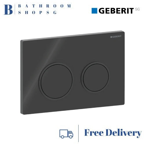 Geberit Omega 20 Actuator Plate 115.085.DW.1 | Black Plate and Button Toilet flush plate
