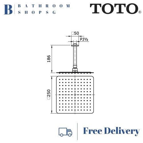 TOTO TX491STN Toja Fixed Shower Head Ceiling Type | TOTO Rainshower with Shower Arm