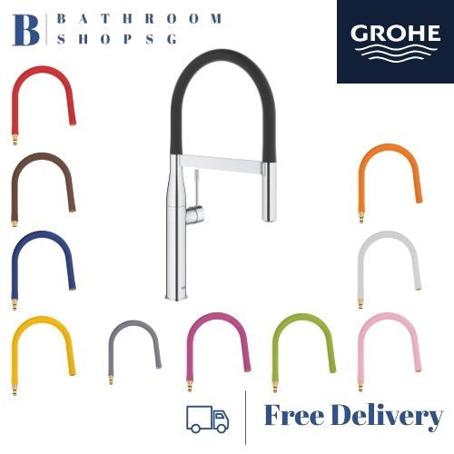 Grohe Essence Single-Lever Sink Mixer 30294000 with Professional Dual spray