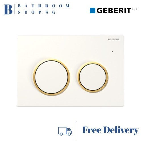 Geberit Kappa21 Actuator Plate White 115.240.KK.1